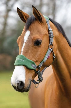 HORSE HEALTH TRADE LeMieux® Vogue Halter & Rope Lead Set- Halters