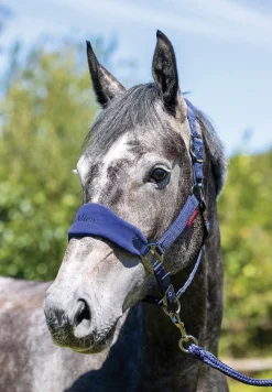 HORSE HEALTH TRADE LeMieux® Vogue Halter & Rope Lead Set- Halters