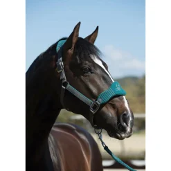 HORSE HEALTH TRADE LeMieux® Vogue Halter & Rope Lead Set- Halters
