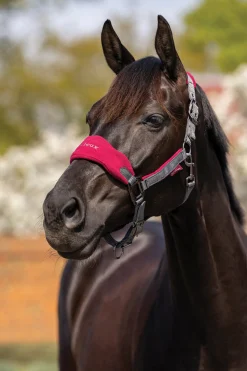 HORSE HEALTH TRADE LeMieux® Vogue Halter & Rope Lead Set- Halters