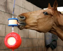 RJ MATTHEWS Likit™ Boredom Breaker™- Horse Toys