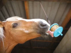 RJ MATTHEWS Likit™ Granola Refill- Horse Treats|Horse Treats