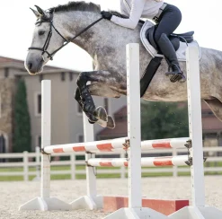 MAJYK EQUIPE ® Bionic Hybrid Performance Jump Boots- Horse Boots