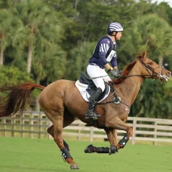 MAJYK EQUIPE ® Boyd Martin Eventing Front & Hind Boot 4-Pack- Horse Boots