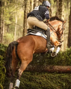 MAJYK EQUIPE ® Boyd Martin Eventing Front & Hind Boot 4-Pack- Horse Boots