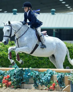 MAJYK EQUIPE ® Leather Jump Boot with Removable Impact Liners (Buckle Closure) - Pony/Cob- Horse Boots