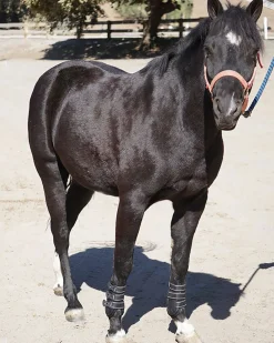 MAJYK EQUIPE ® Leather Jump Boots with Removable Impact Liners (Snap Closure)- Horse Boots