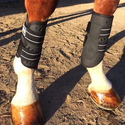 MAJYK EQUIPE ® Sport/Dressage Front Boots with Arti-Lage™ Impact Technology- Horse Boots