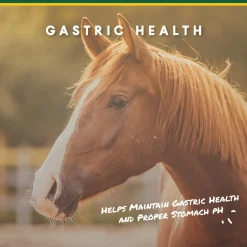 ANIMAL HEALTH INT Manna Pro® Corta-Flx® U-Gard™ Pellets, 4 Pounds- Horse Supplements
