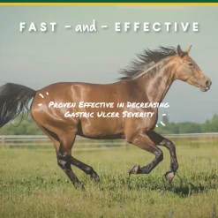 ANIMAL HEALTH INT Manna Pro® Corta-Flx® U-Gard™ Pellets, 4 Pounds- Horse Supplements