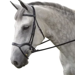INT RIDING HELMET Marcel Toulouse Hybrid Dressage Bridle- English Bridles