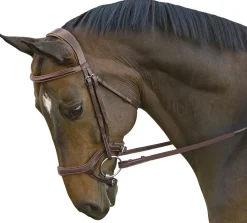 INT RIDING HELMET Marcel Toulouse Hybrid Jumper Bridle- English Bridles