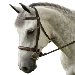 INT RIDING HELMET Marcel Toulouse Platinum Liza Hunter Derby Bridle- English Bridles