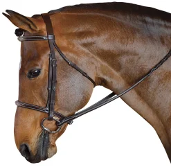 INT RIDING HELMET Marcel Toulouse Standard Hunter Bridle- English Bridles