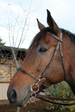 TOKLAT ORIGINALS Myler® 3-Ring Combo Low Port Comfort Snaffle MB 04- English Horse Bits