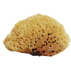 JACKS MFG Natural Sea Sponges- Bathing Tools