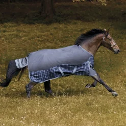 CWEAR BRANCH NorthWind™ Heavyweight Turnout Blanket- Turnout Blankets