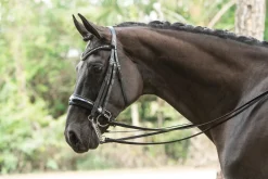 OTTO SCHUMACHER Patent Venedig Double Bridle- English Bridles