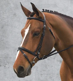 ERS Ovation® Comfort Crown Dressage Bridle- English Bridles