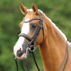 GEM-PASSIER PassierBLU® Dream Double Bridle- English Bridles