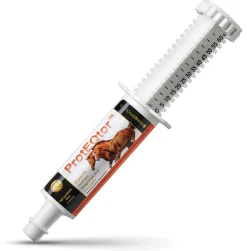 PERFECT PRODUCTS ProtEQtor™ Immune & Allergy Paste- Horse Supplements