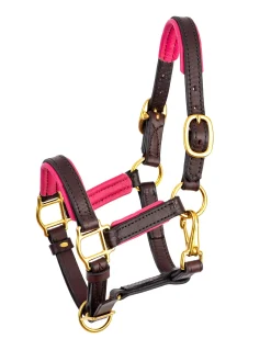 PERRIS LEATHER Perri’s® 3/4" Padded Leather Mini Halter- Halters