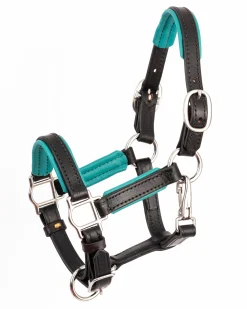 PERRIS LEATHER Perri’s® 3/4" Padded Leather Mini Halter- Halters
