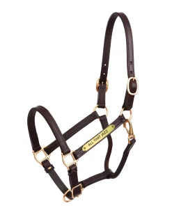 PERRIS LEATHER Perri’s® 3/4" Premium Leather Show Halter with Nameplate- Halters