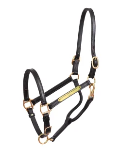 PERRIS LEATHER Perri’s® 3/4" Premium Leather Show Halter with Nameplate- Halters