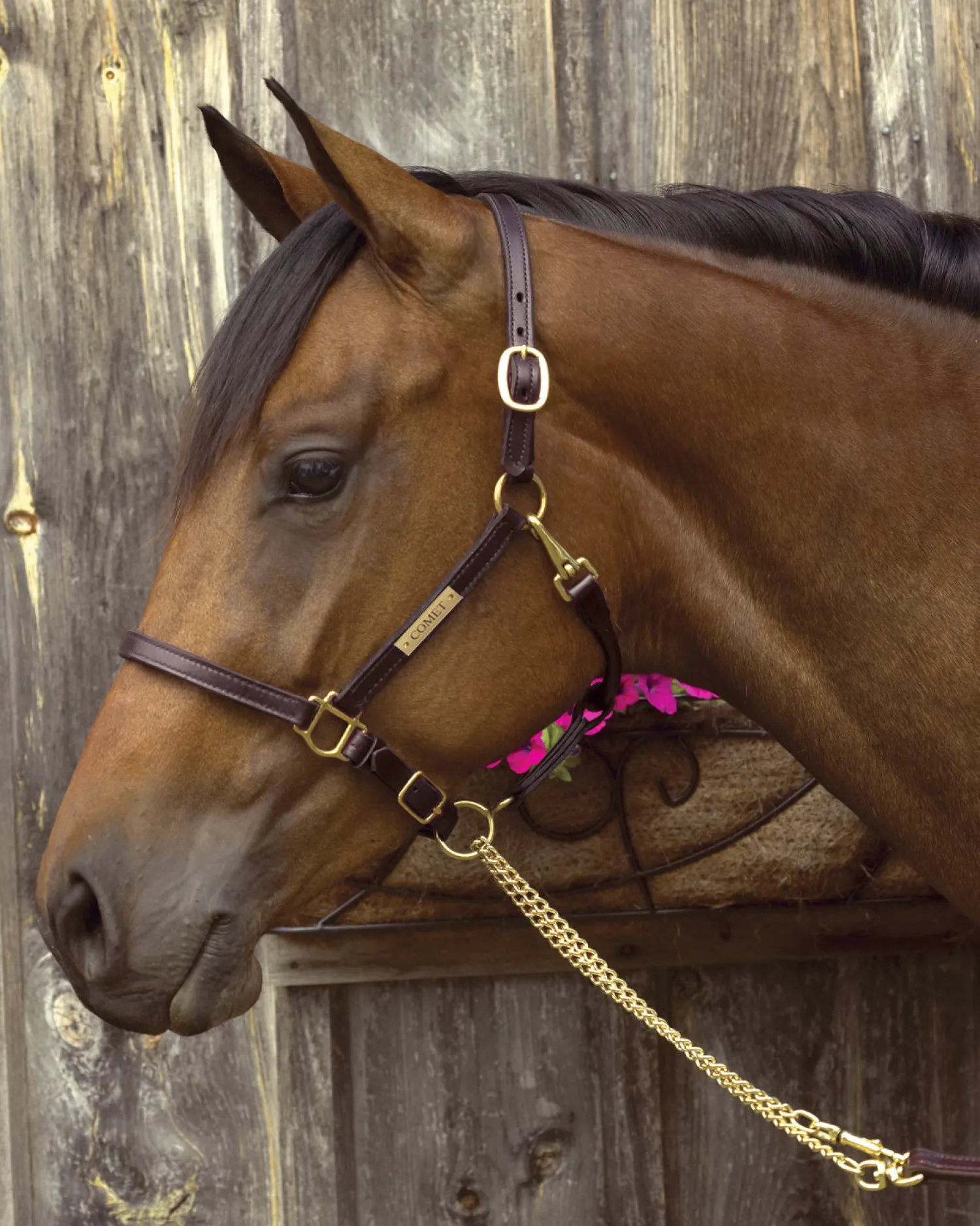 PERRIS LEATHER Perri’s® 3/4" Premium Leather Show Halter with Nameplate- Halters