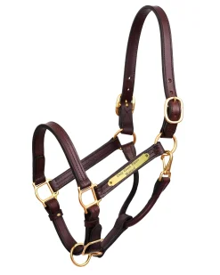 PERRIS LEATHER Perri’s® 1" XL Stallion Premium Leather Show Halter with Nameplate- Stable & Stall Accessories|Halters