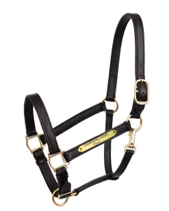 PERRIS LEATHER Perri’s® Draft Leather Turnout Halter- Halters