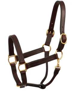 PERRIS LEATHER Perri’s® Heavy-Duty Track Halter with Snap- Halters