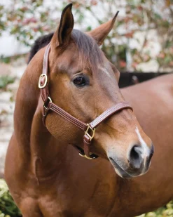 PERRIS LEATHER Perri’s® Horse Professional Show Halter- Halters
