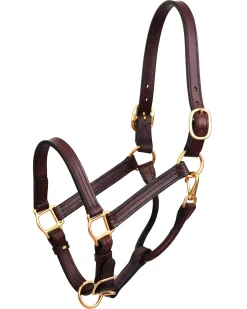 PERRIS LEATHER Perri’s® Horse Professional Show Halter- Halters
