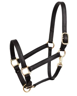 PERRIS LEATHER Perri’s® Leather Turnout Draft Halter- Halters