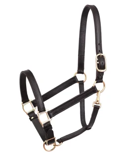 PERRIS LEATHER Perri’s® Leather Turnout Draft Halter- Halters