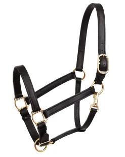 PERRIS LEATHER Perri’s® Leather Turnout Halter- Halters