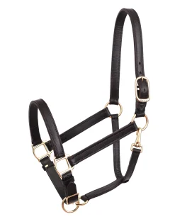 PERRIS LEATHER Perri’s® Leather Turnout Yearling Halter- Halters