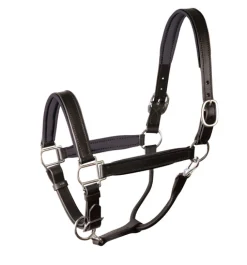 PERRIS LEATHER Perri’s® Padded Leather Halter Crownpiece- Trailering|Halter Accessories