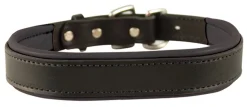 PERRIS LEATHER Perri’s® Padded Leather Nameplate Dog Collar- Collars & Leashes