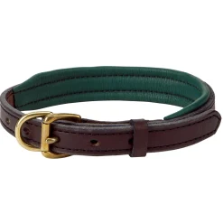 PERRIS LEATHER Perri’s® Padded Leather Nameplate Dog Collar- Collars & Leashes