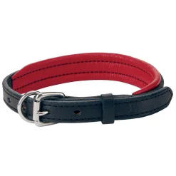PERRIS LEATHER Perri’s® Padded Leather Nameplate Dog Collar- Collars & Leashes