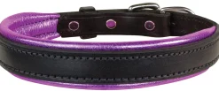 PERRIS LEATHER Perri’s® Padded Leather Nameplate Dog Collar- Collars & Leashes
