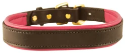 PERRIS LEATHER Perri’s® Padded Leather Nameplate Dog Collar- Collars & Leashes
