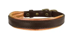 PERRIS LEATHER Perri’s® Padded Leather Nameplate Dog Collar- Collars & Leashes