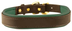PERRIS LEATHER Perri’s® Padded Leather Nameplate Dog Collar- Collars & Leashes