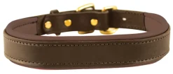 PERRIS LEATHER Perri’s® Padded Leather Nameplate Dog Collar- Collars & Leashes