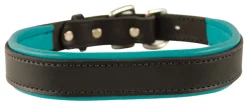 PERRIS LEATHER Perri’s® Padded Leather Nameplate Dog Collar- Collars & Leashes