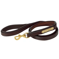 PERRIS LEATHER Perri’s® Padded Leather Nameplate Dog Leash- Collars & Leashes